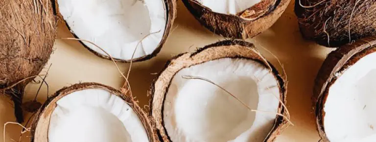 coconut